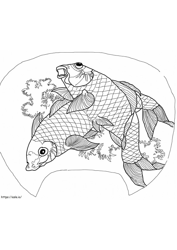 Two Carps coloring page
