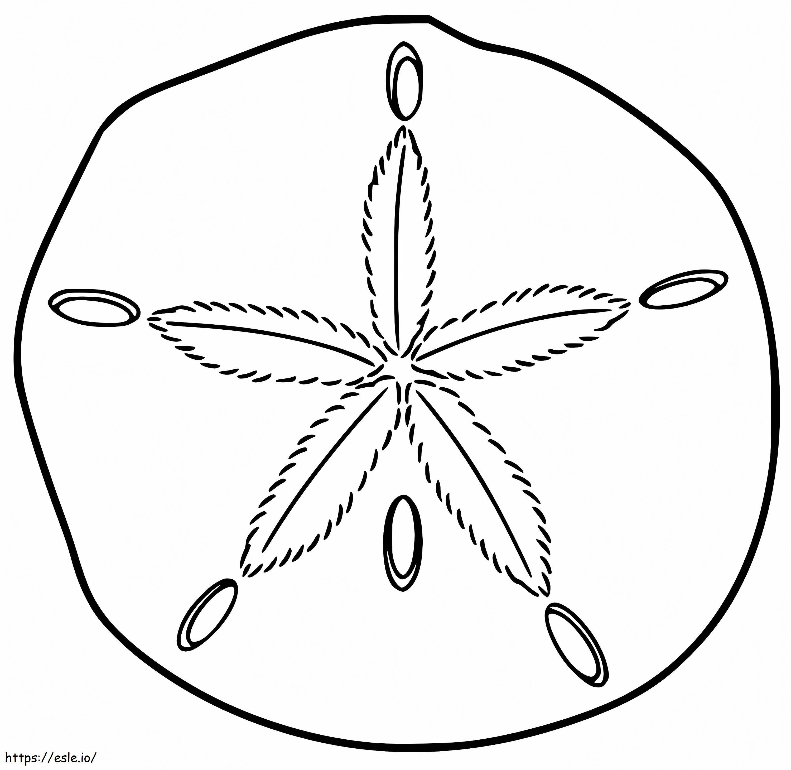 Sand Dollar 8 coloring page