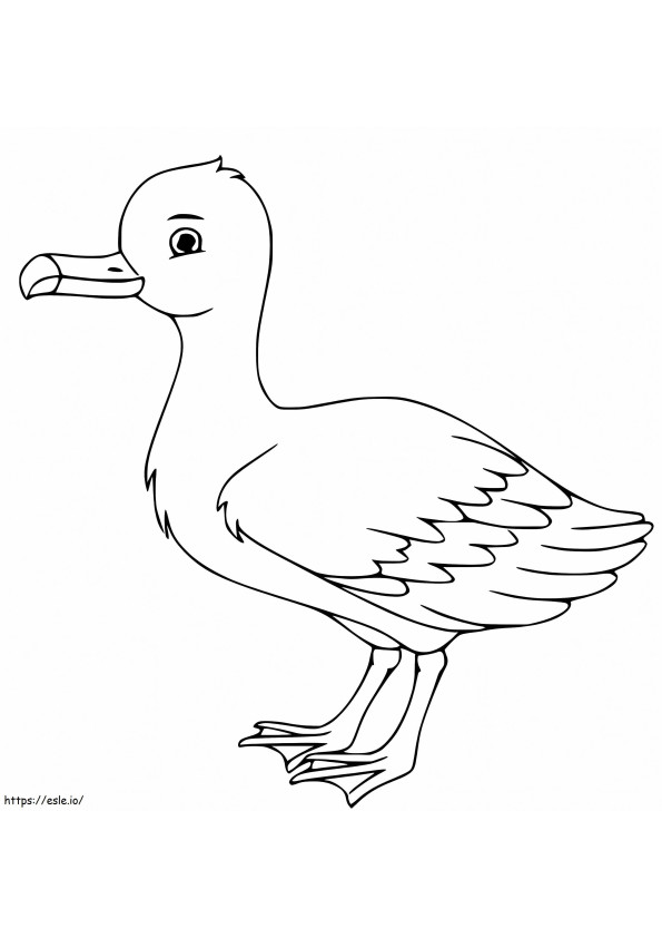 Albatros drăguț de colorat