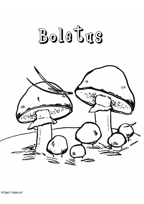Cogumelos Boletos para colorir