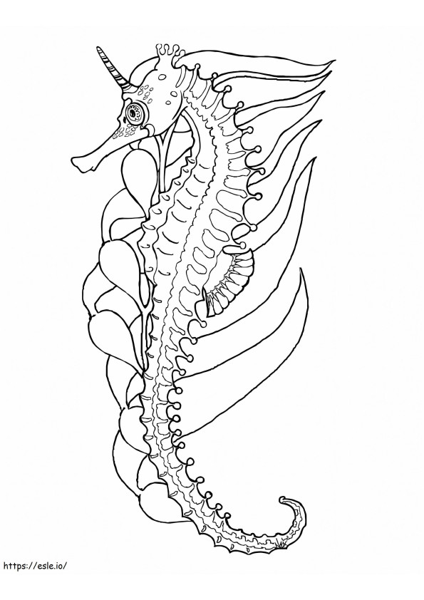 Beautiful Seahorse coloring page