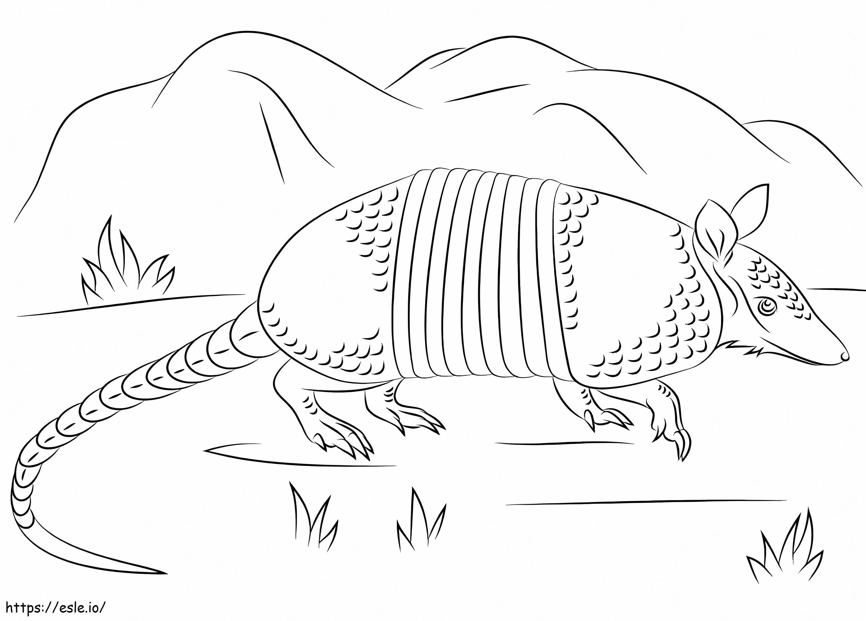 Nine Banded Armadillo 1 coloring page