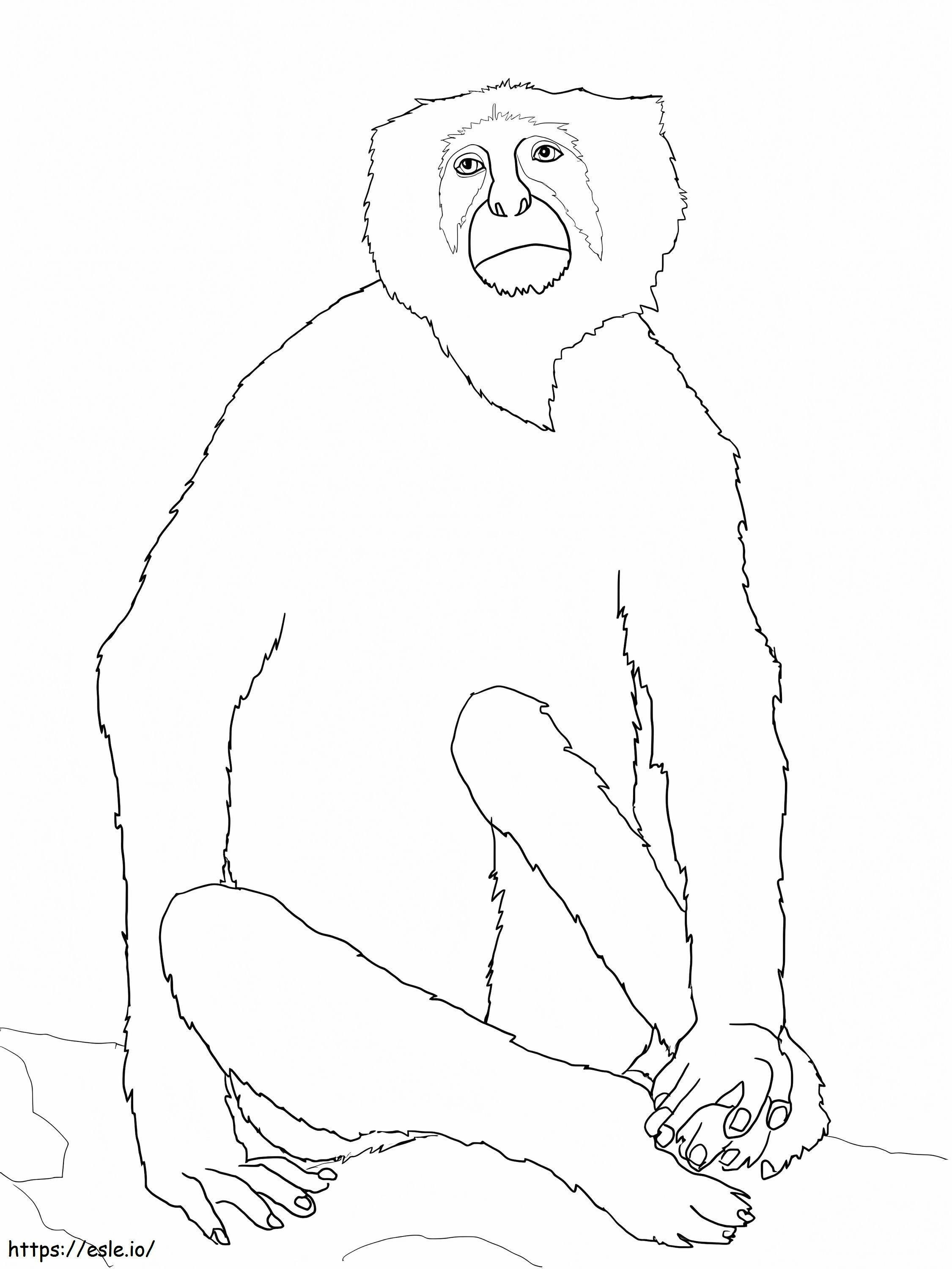 Langurska małpa kolorowanka