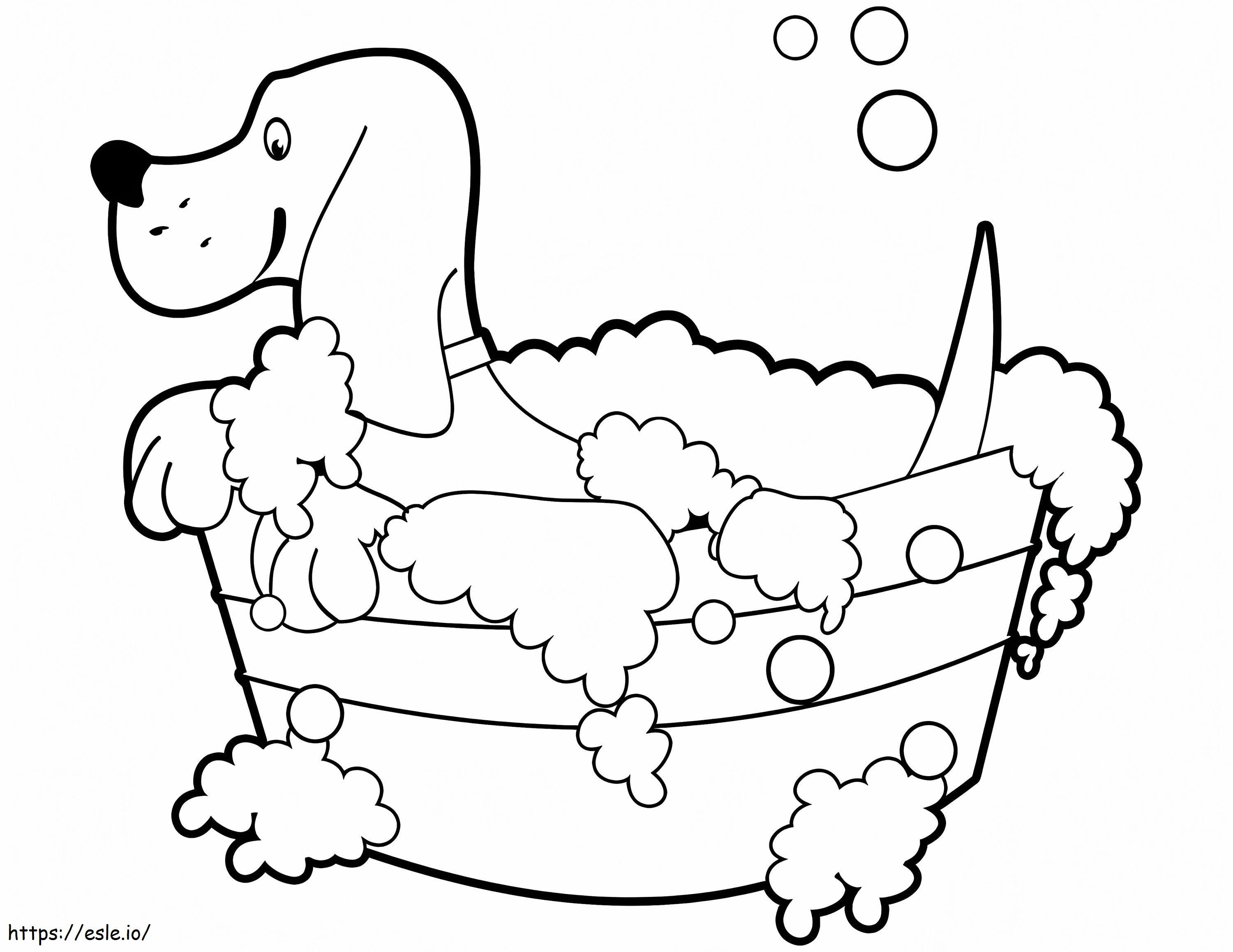 Beagle tomando banho para colorir