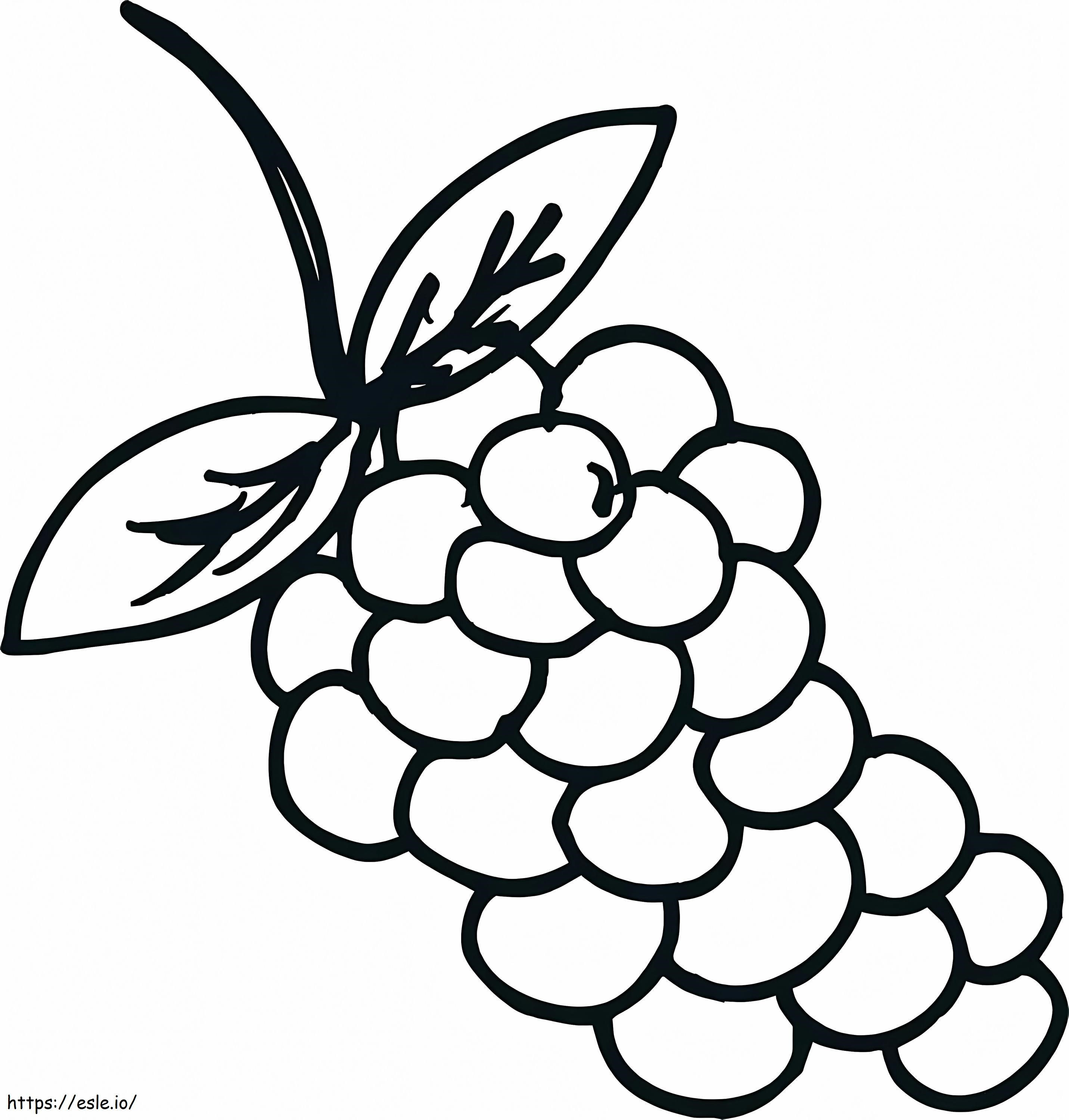 Draw Grapes coloring page