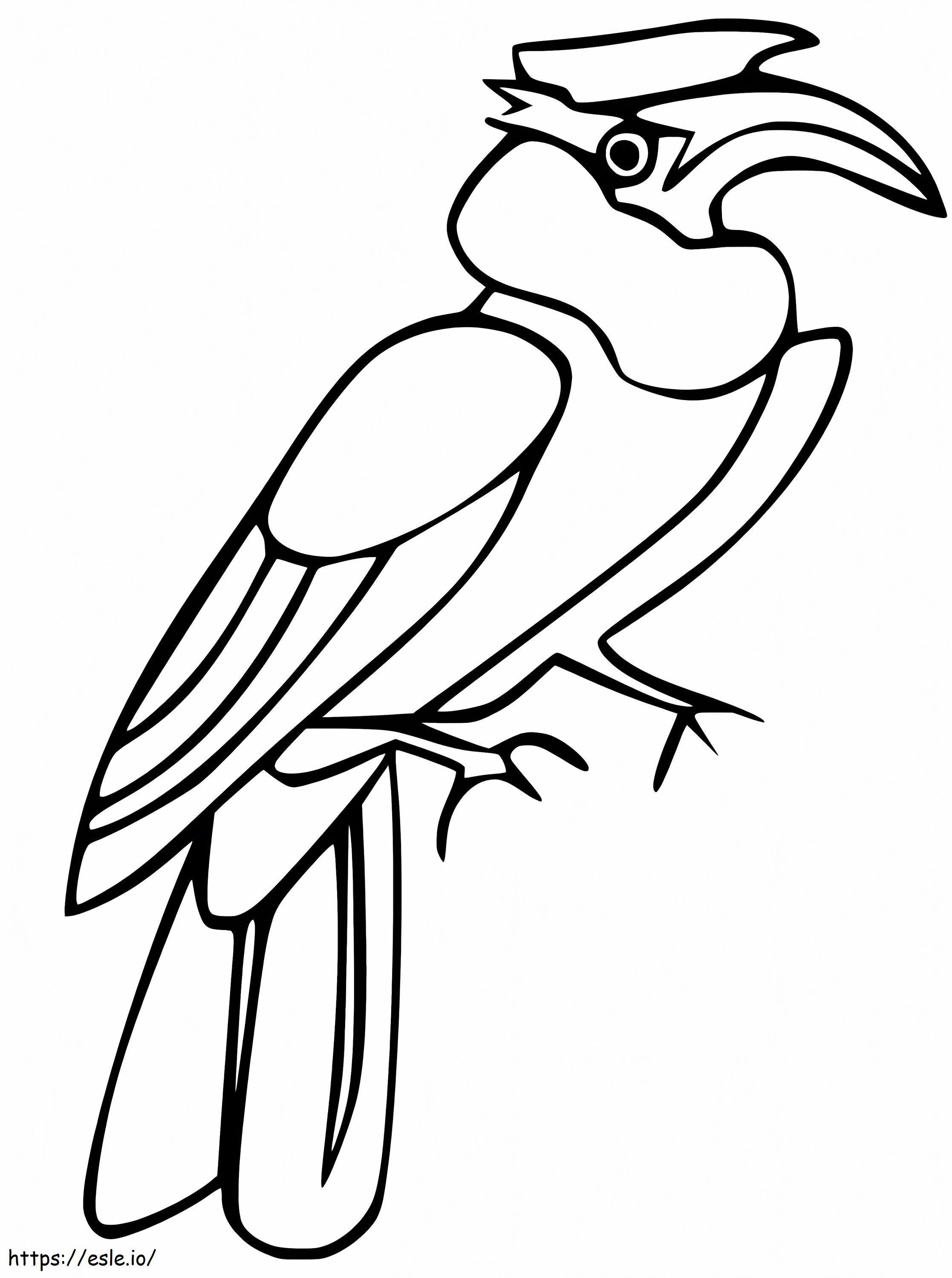 Hornbill imprimível para colorir