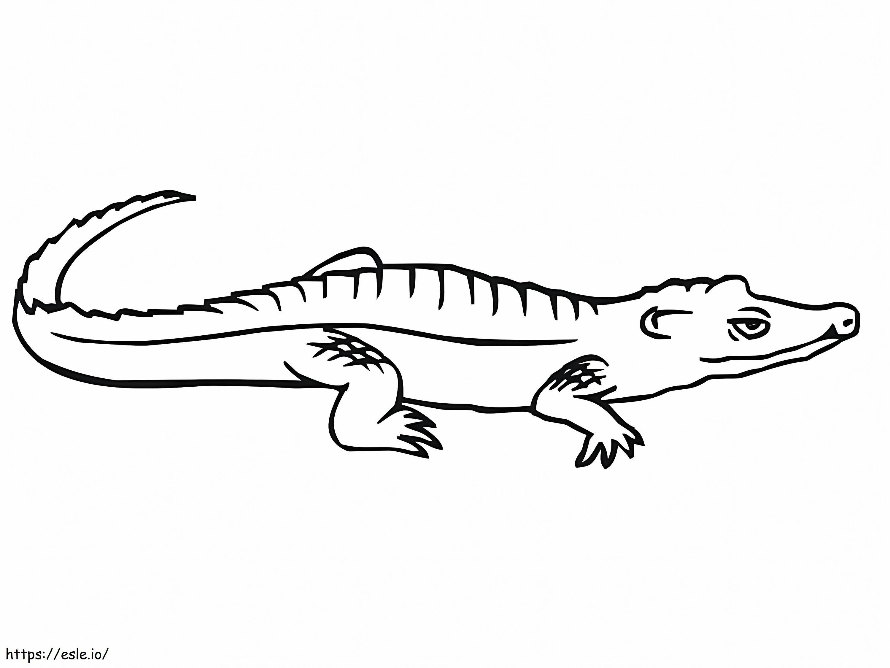 Crocodil imprimabil gratuit de colorat