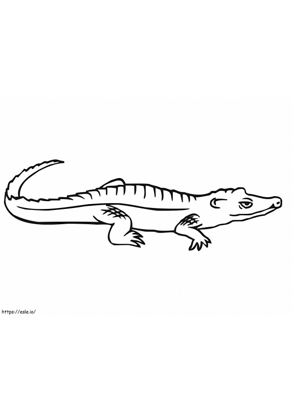 Free Printable Crocodile coloring page