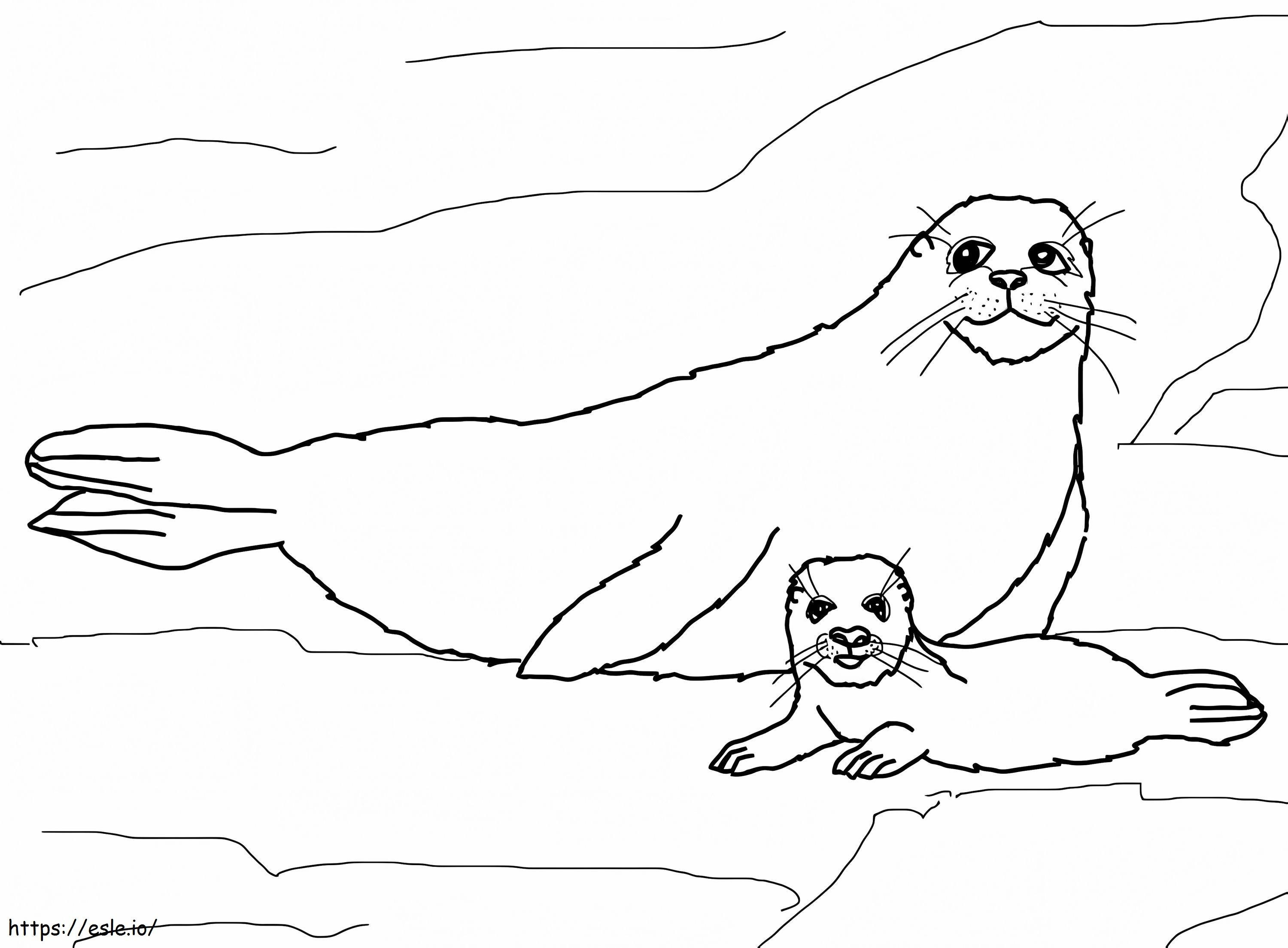 Mama și puiul de focă de colorat
