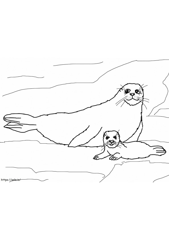 Coloriage Mère et bébé phoque du Groenland à imprimer dessin