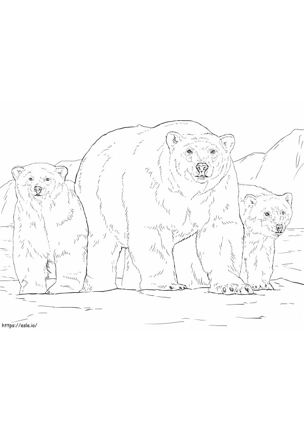 Realistic Polar Bears coloring page
