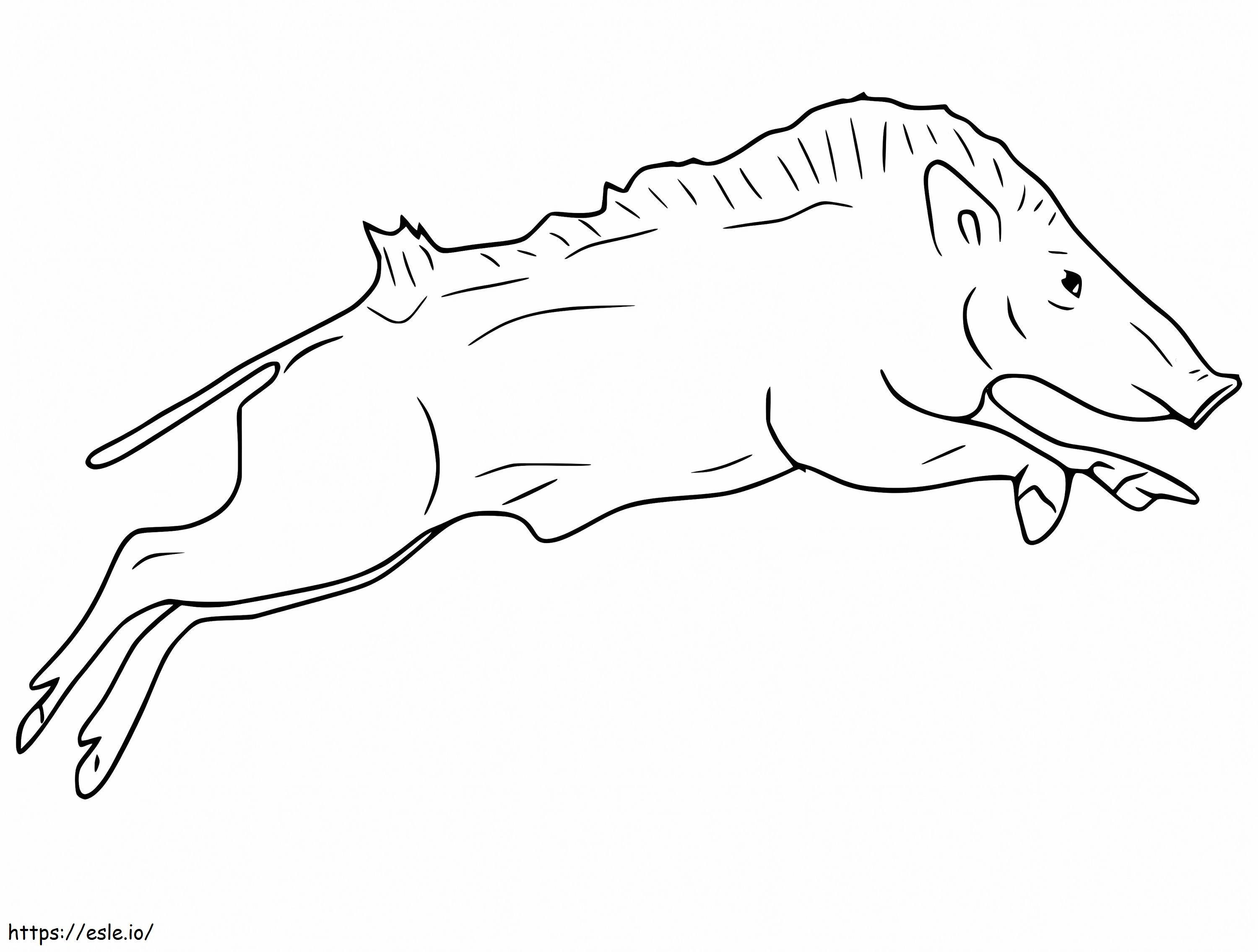 Wild Boar Jumping coloring page