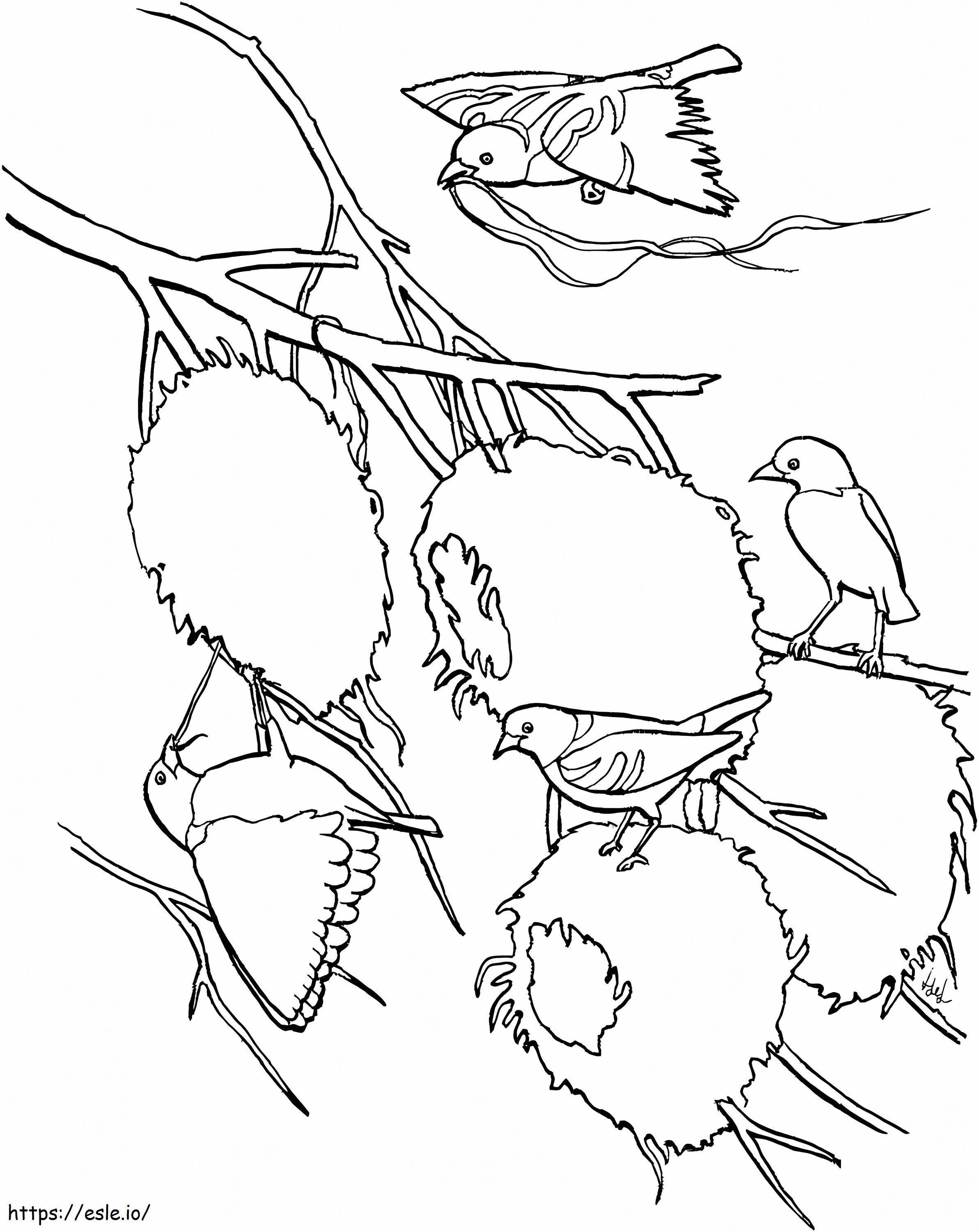 Aldeia Pássaro Tecelão para colorir