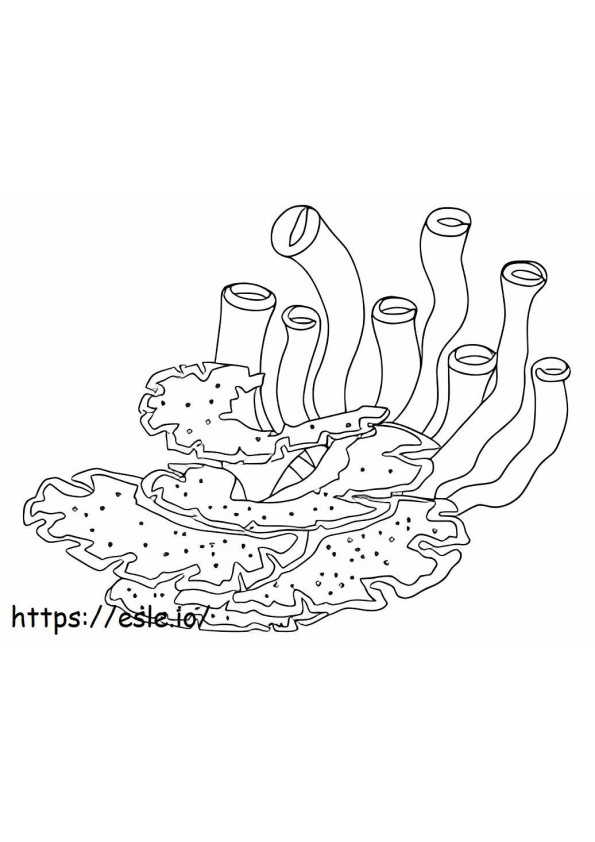 Coral Normal coloring page