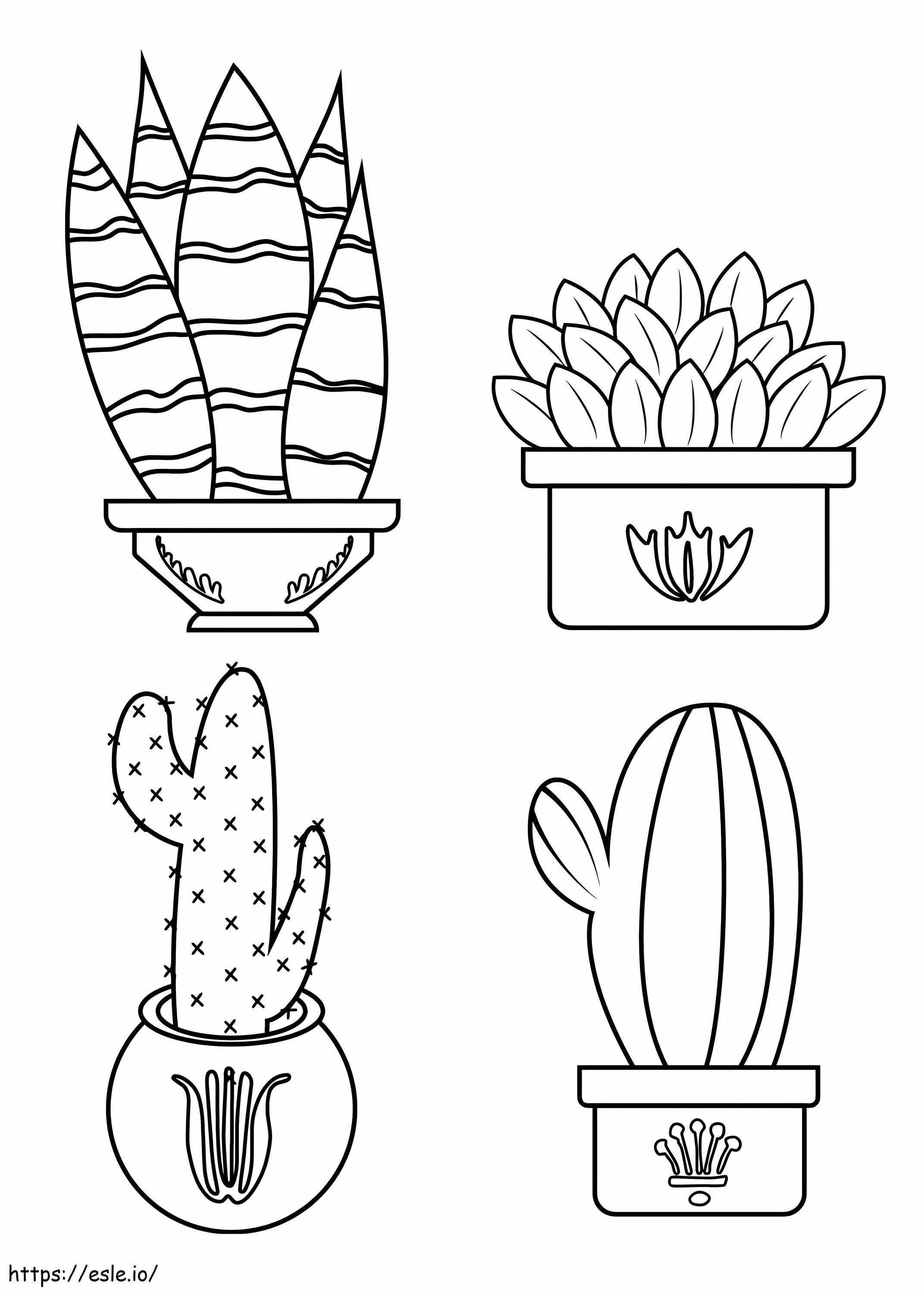 Cuatro cactus en maceta para colorear