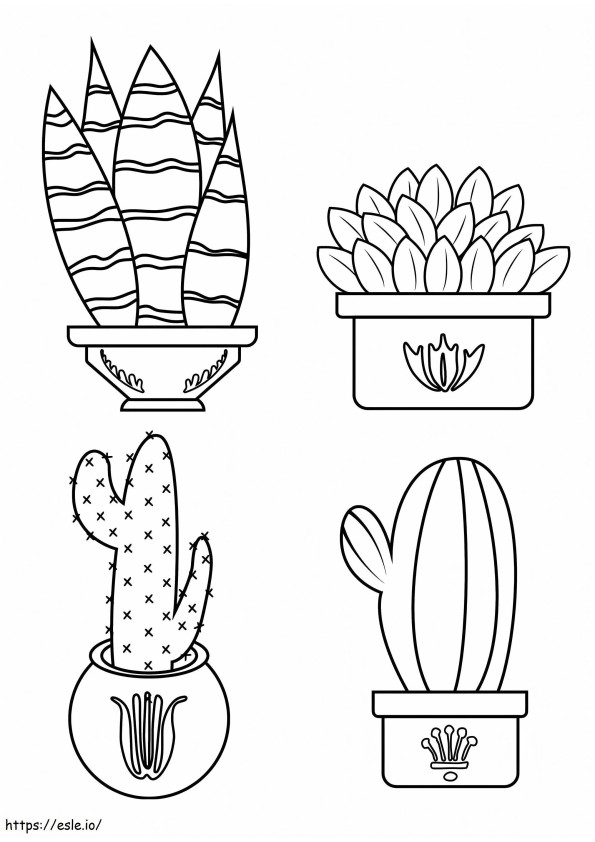Quatro cactos em vasos para colorir