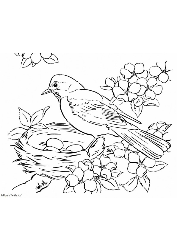 Coloriage Bel oiseau de printemps à imprimer dessin