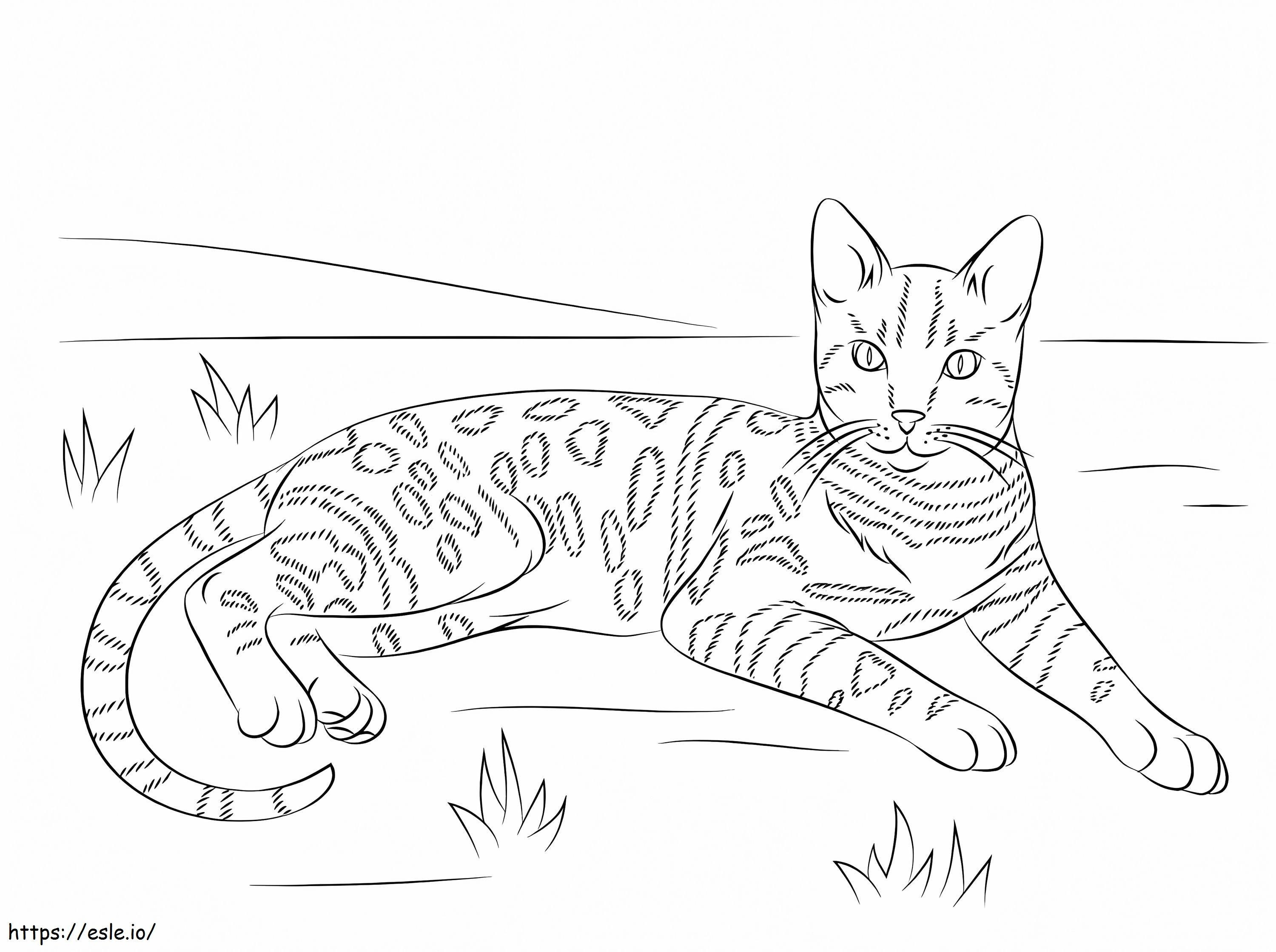 Bengal Cat coloring page