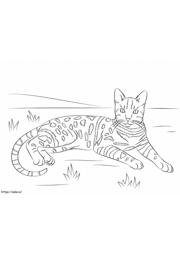 ベンガル猫 ぬりえ - 塗り絵