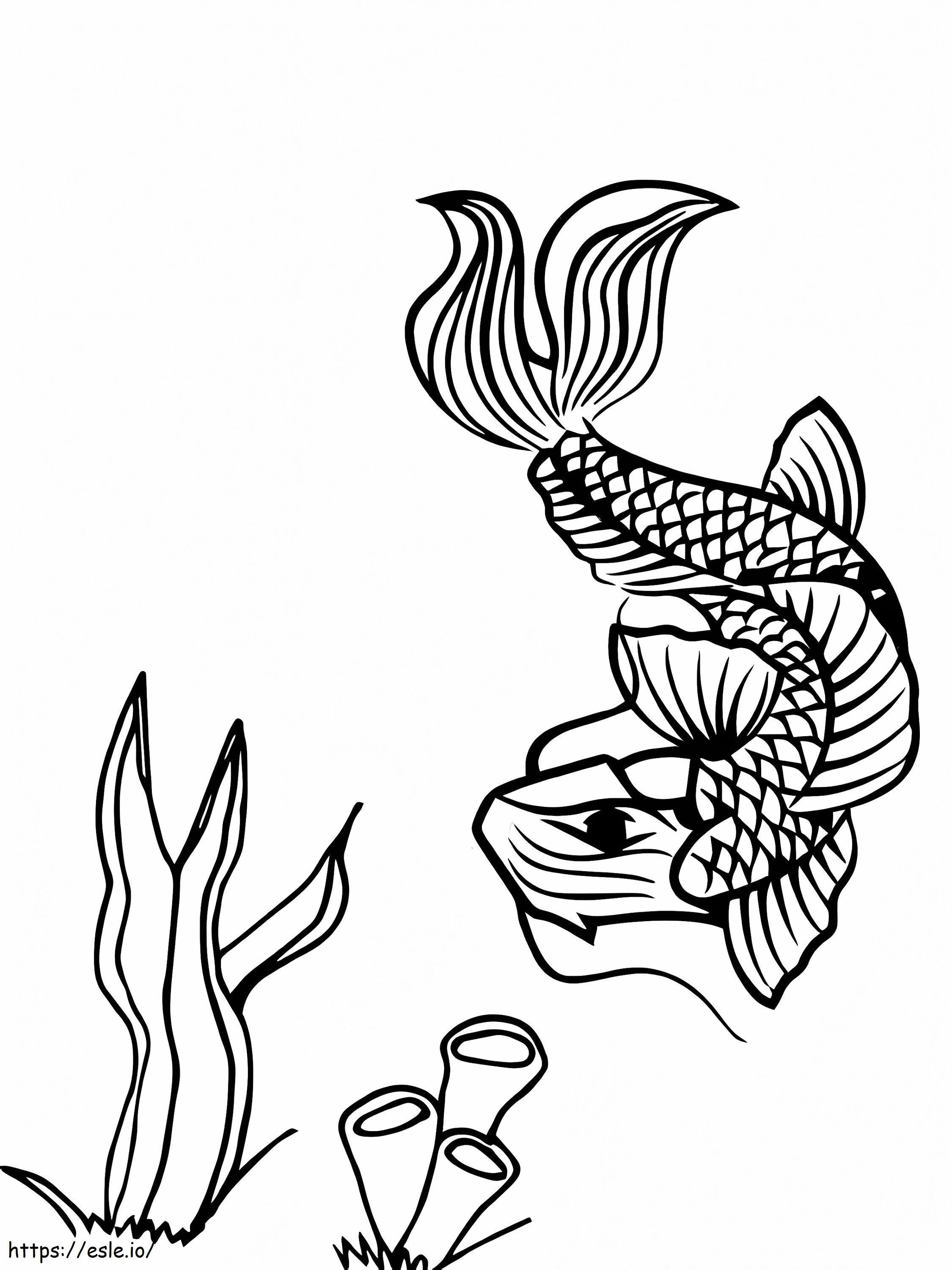 古い鯉の魚 ぬりえ - 塗り絵
