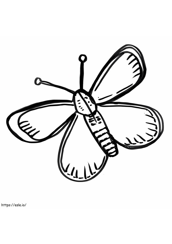 Butterflys Drawing coloring page