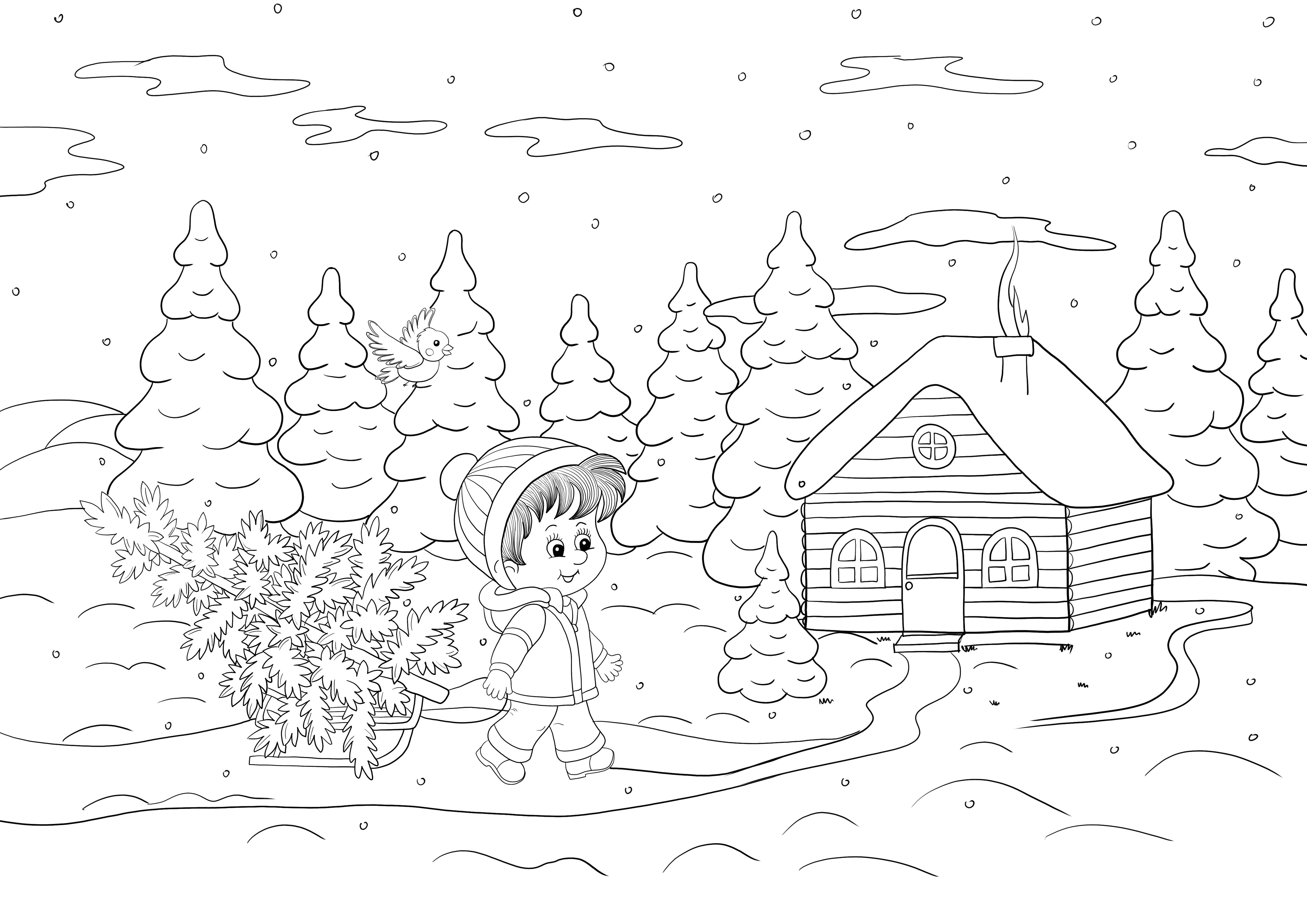 Boy carrying a Christmas tree on a sledge to print and free coloring