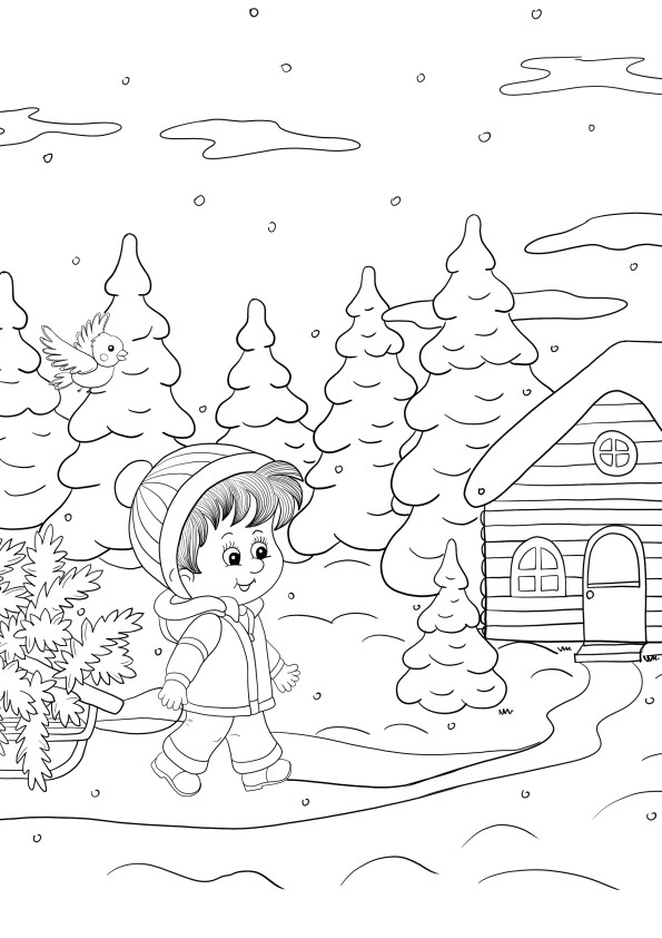 Boy carrying a Christmas tree on a sledge to print and free coloring