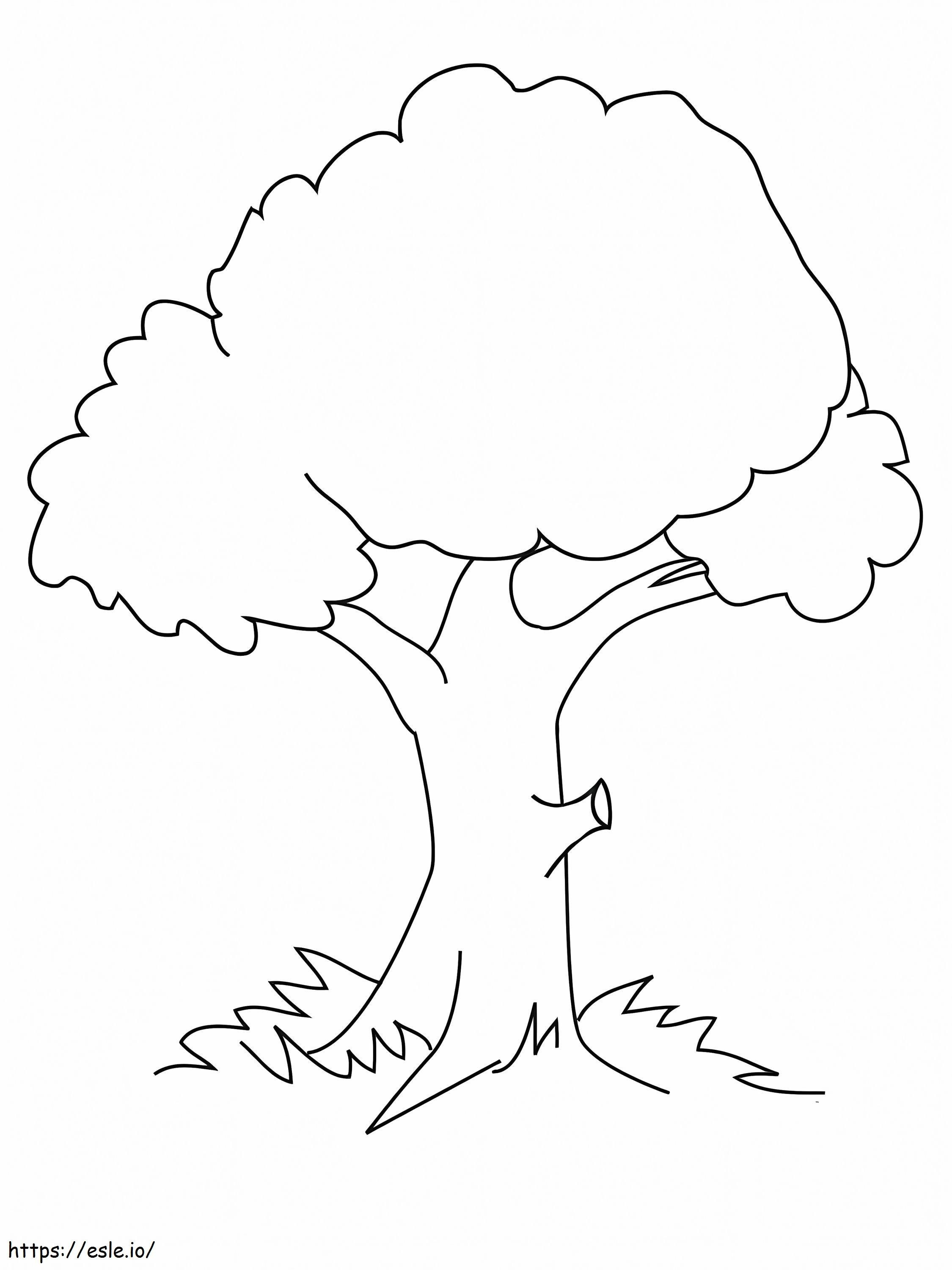 Normalne drzewo kolorowanka
