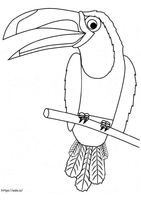 Coloriage Toucan sur branche à imprimer dessin