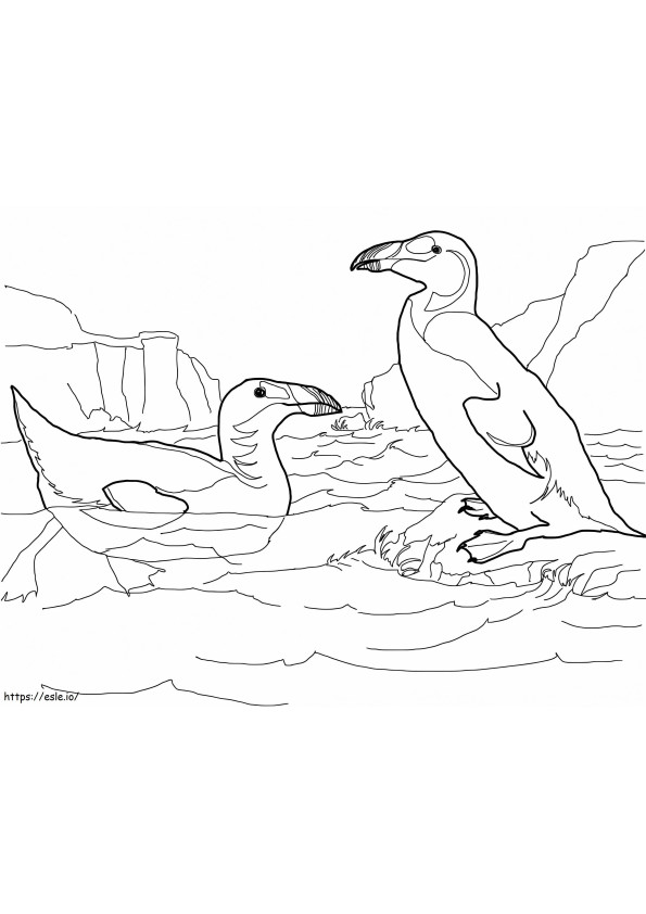 Extinct Great Auk coloring page