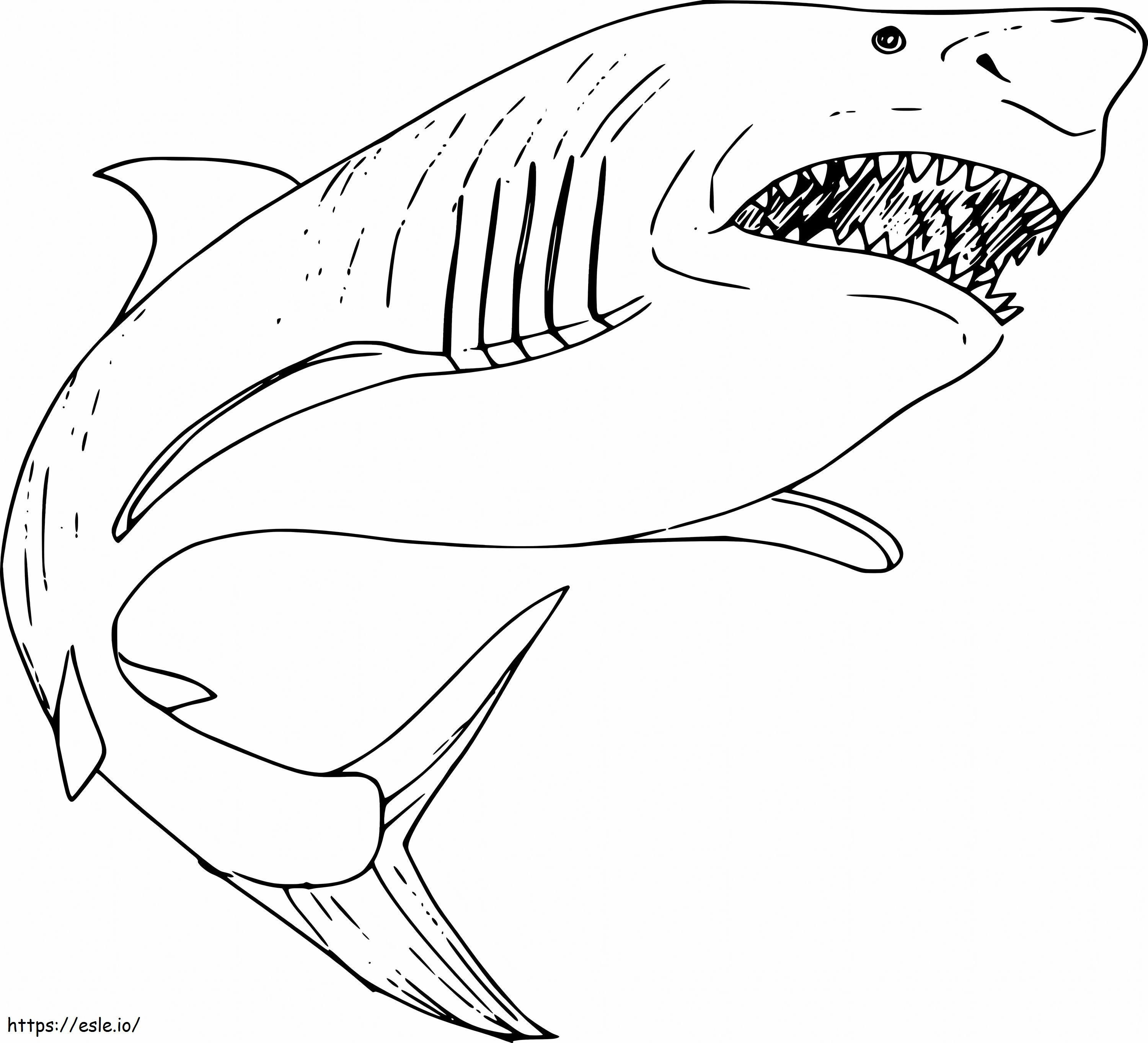 Coloriage Tiburon Megalodon Grande à imprimer dessin