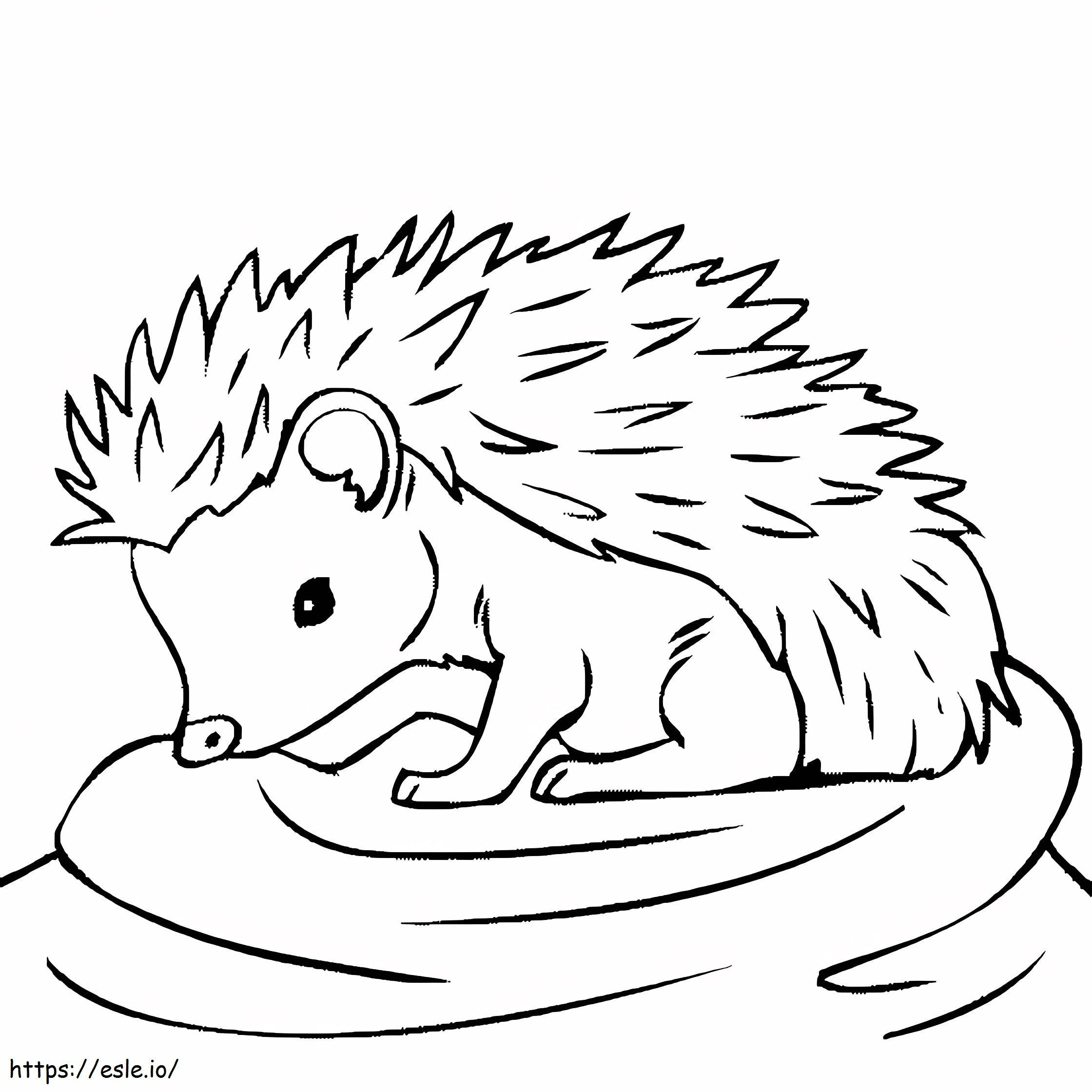 Baby Hedgehog coloring page
