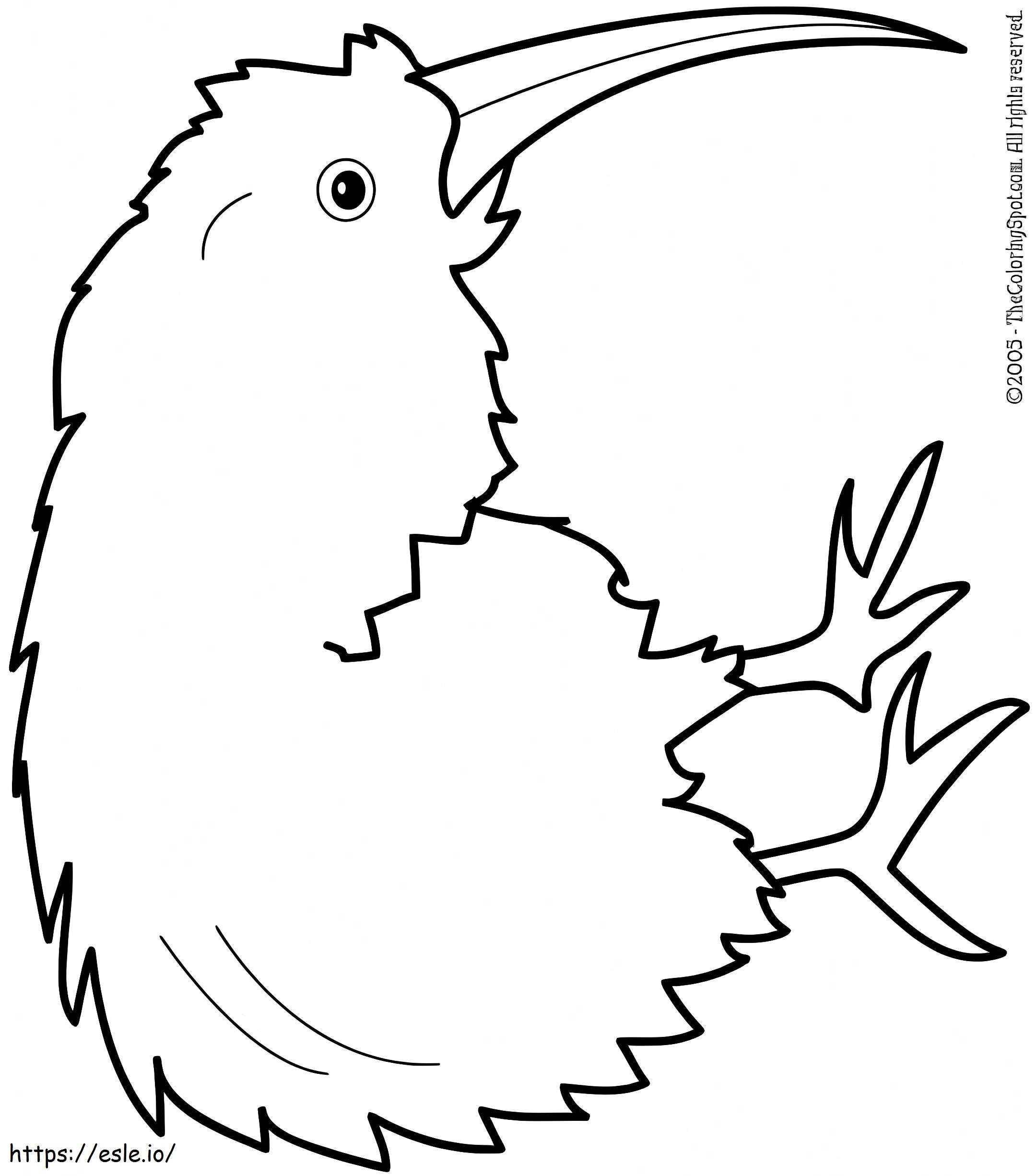 Coloriage Grand oiseau kiwi à imprimer dessin