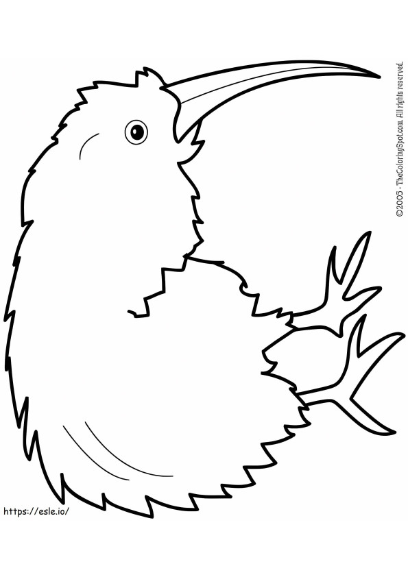Grande Pássaro Kiwi para colorir