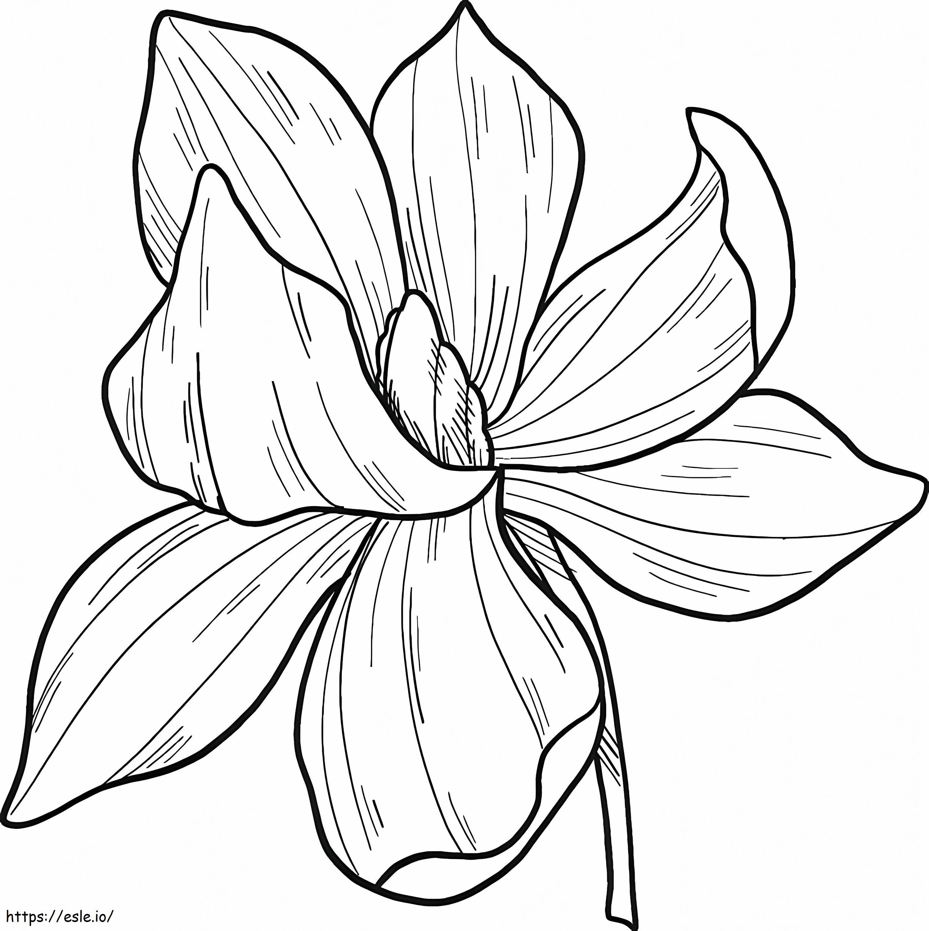 Coloriage Fleur de Magnolia 10 à imprimer dessin