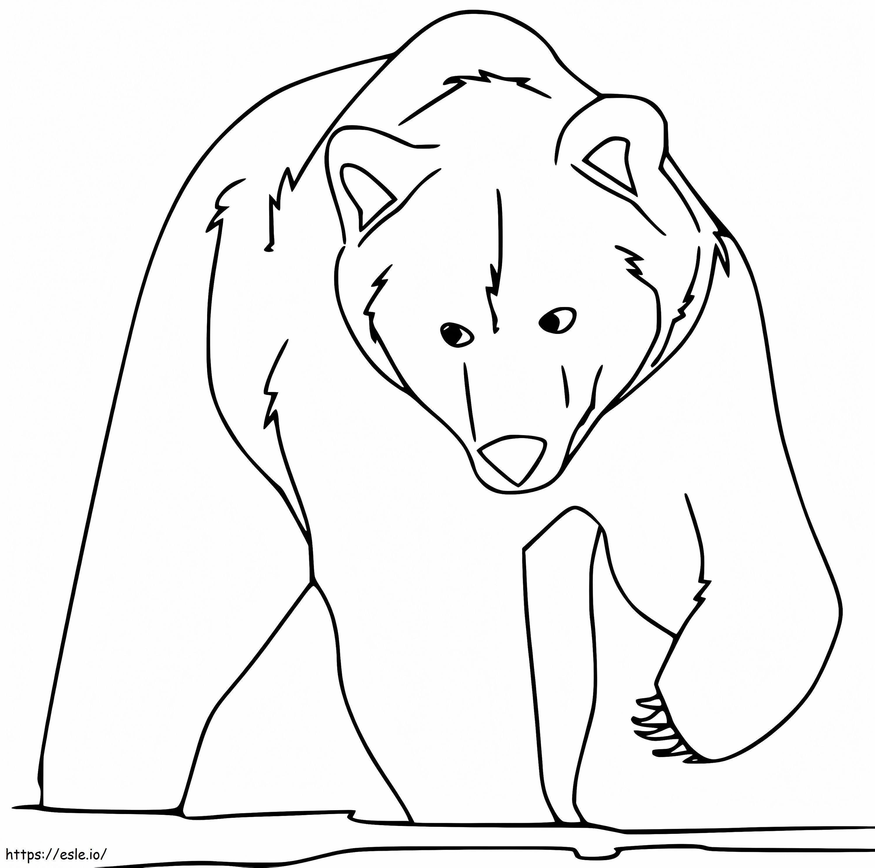 Urso Marrom 17 para colorir