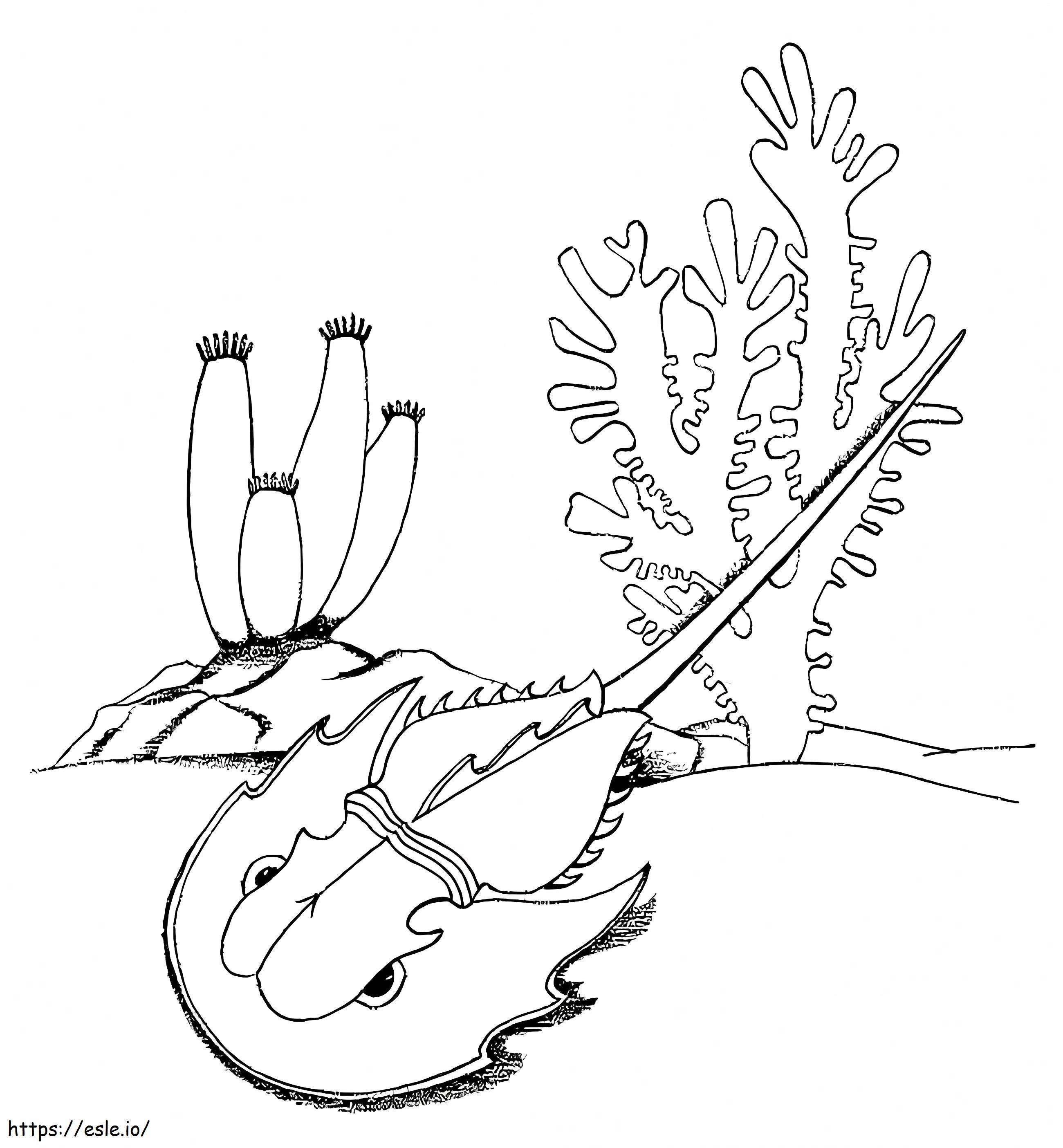 Coloriage Crabe en fer à cheval dans la mer à imprimer dessin