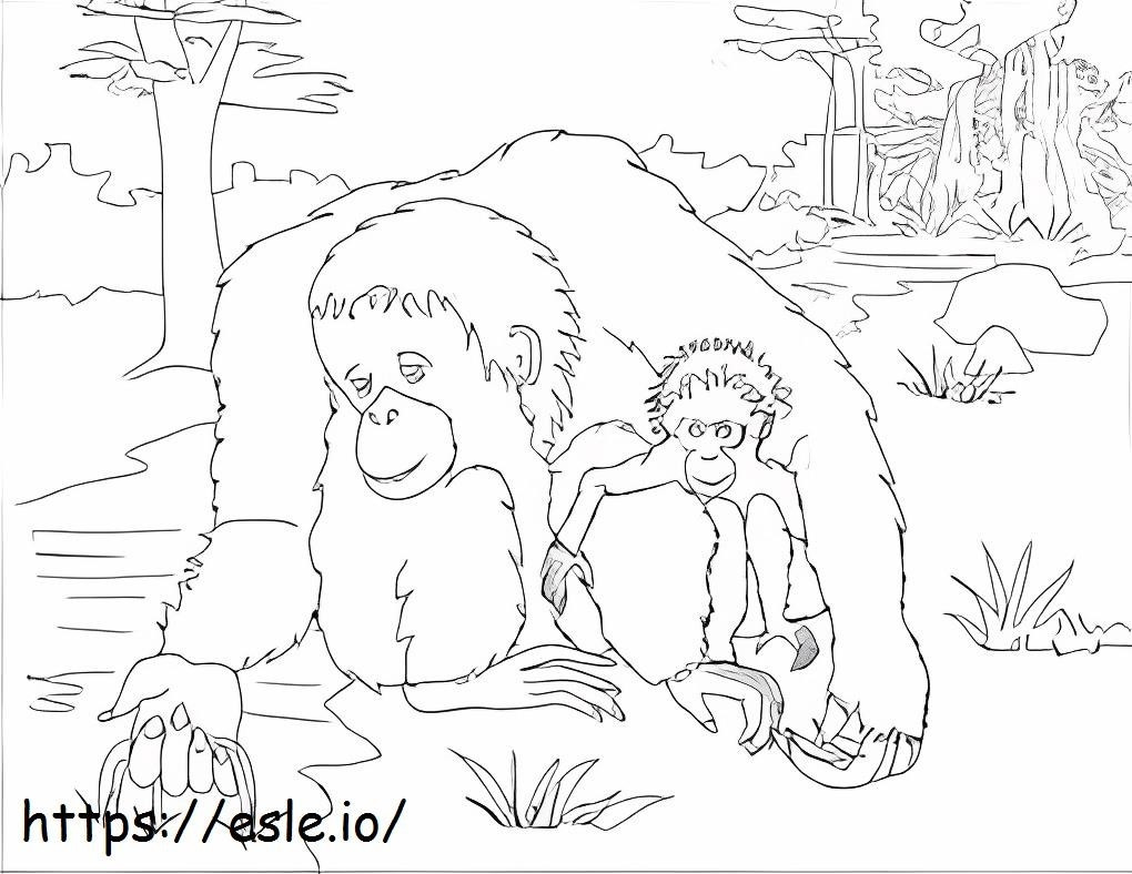 Coloriage Maman et bébé orang-outan à imprimer dessin