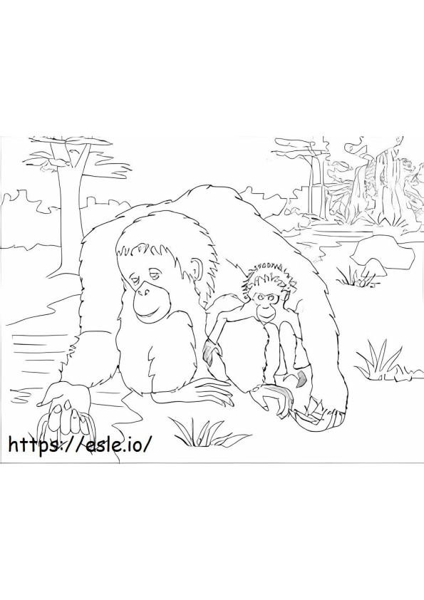 Ibu dan Bayi Orangutan Gambar Mewarnai