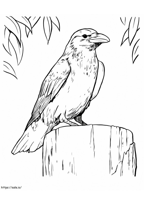 Coloriage Corbeau Corbeau à imprimer dessin