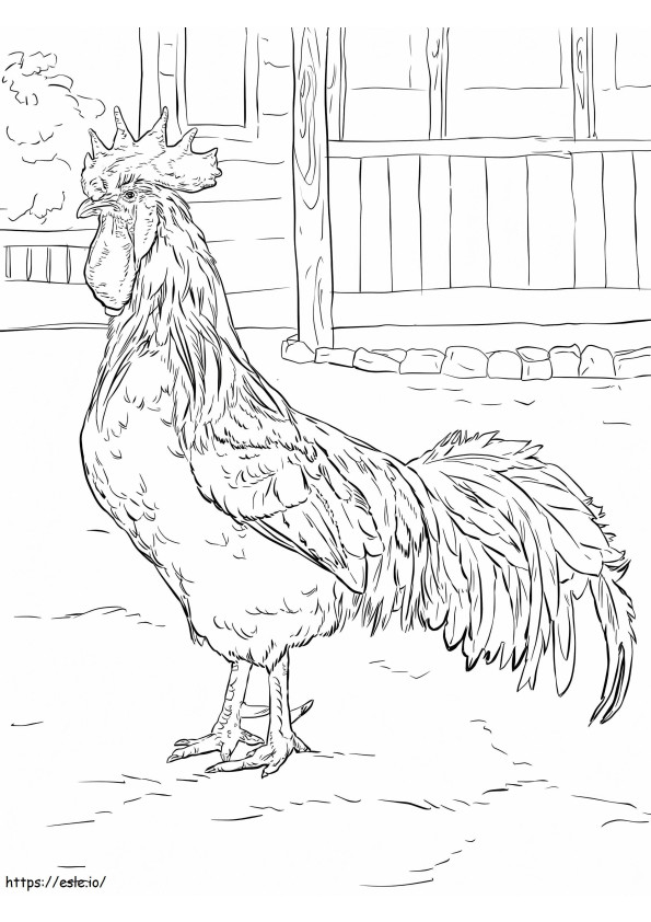 Brown Leghorn Rooster 1 coloring page