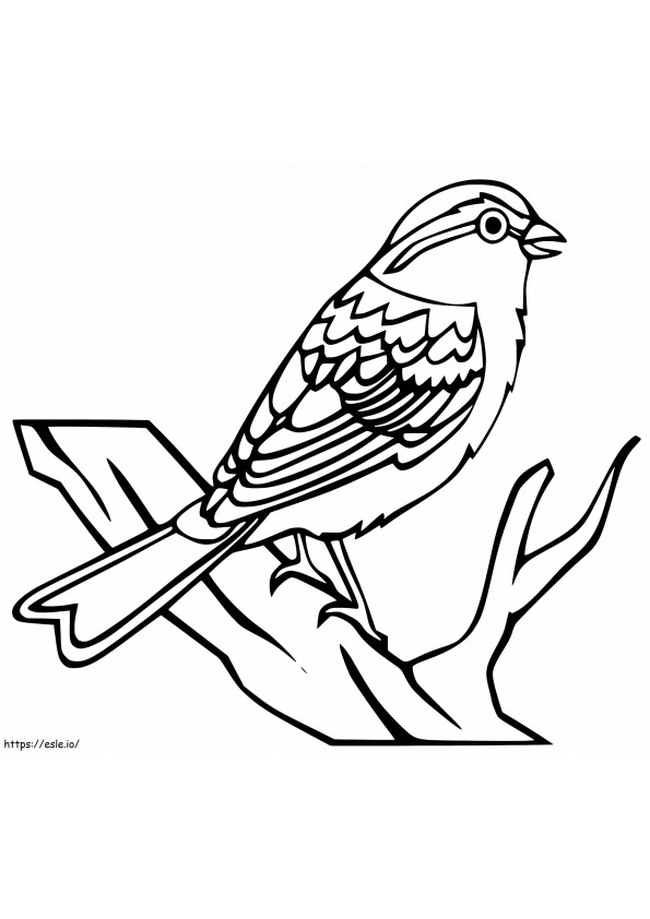 Sparrow On Tree coloring page