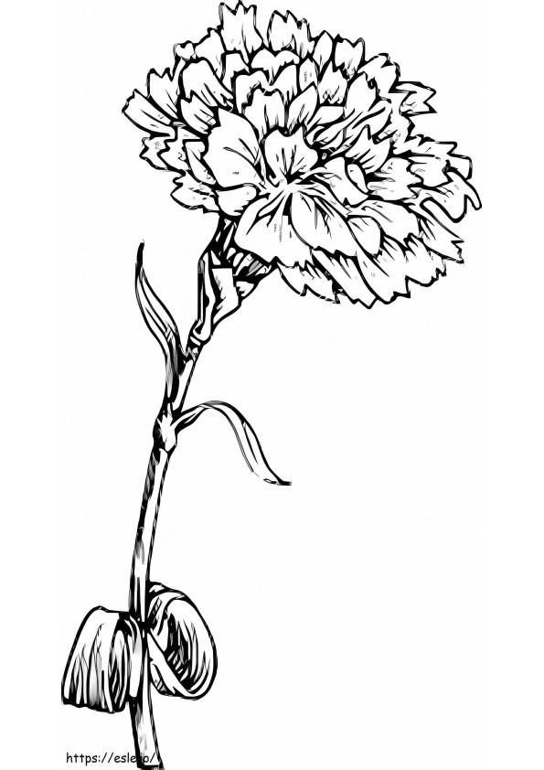 Carnation For Adult coloring page