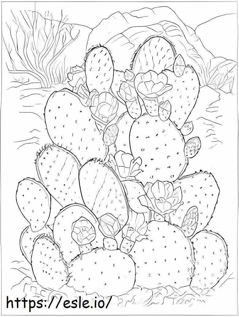 Coloriage Cactus étonnants à imprimer dessin
