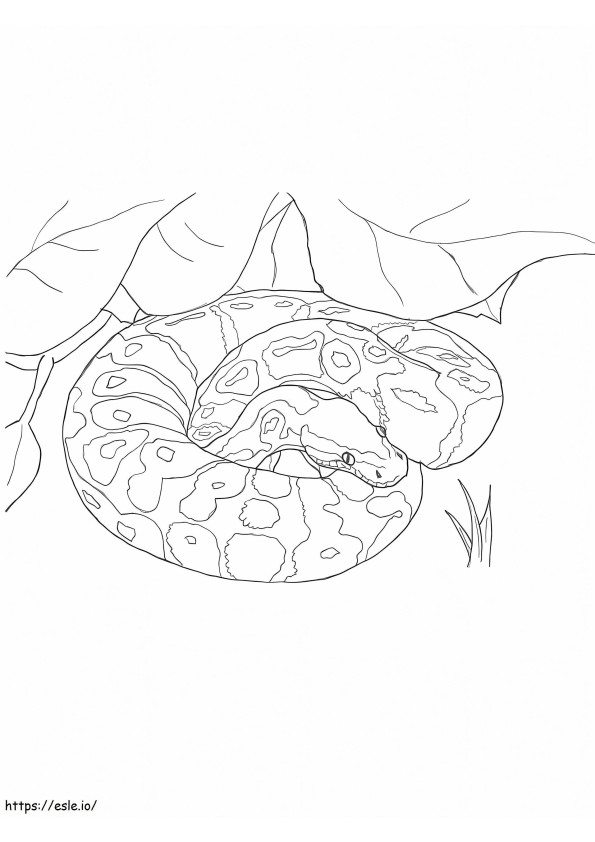 Python Lying coloring page