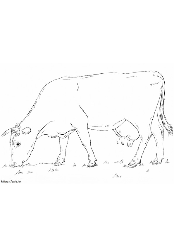 Grazing Cow coloring page