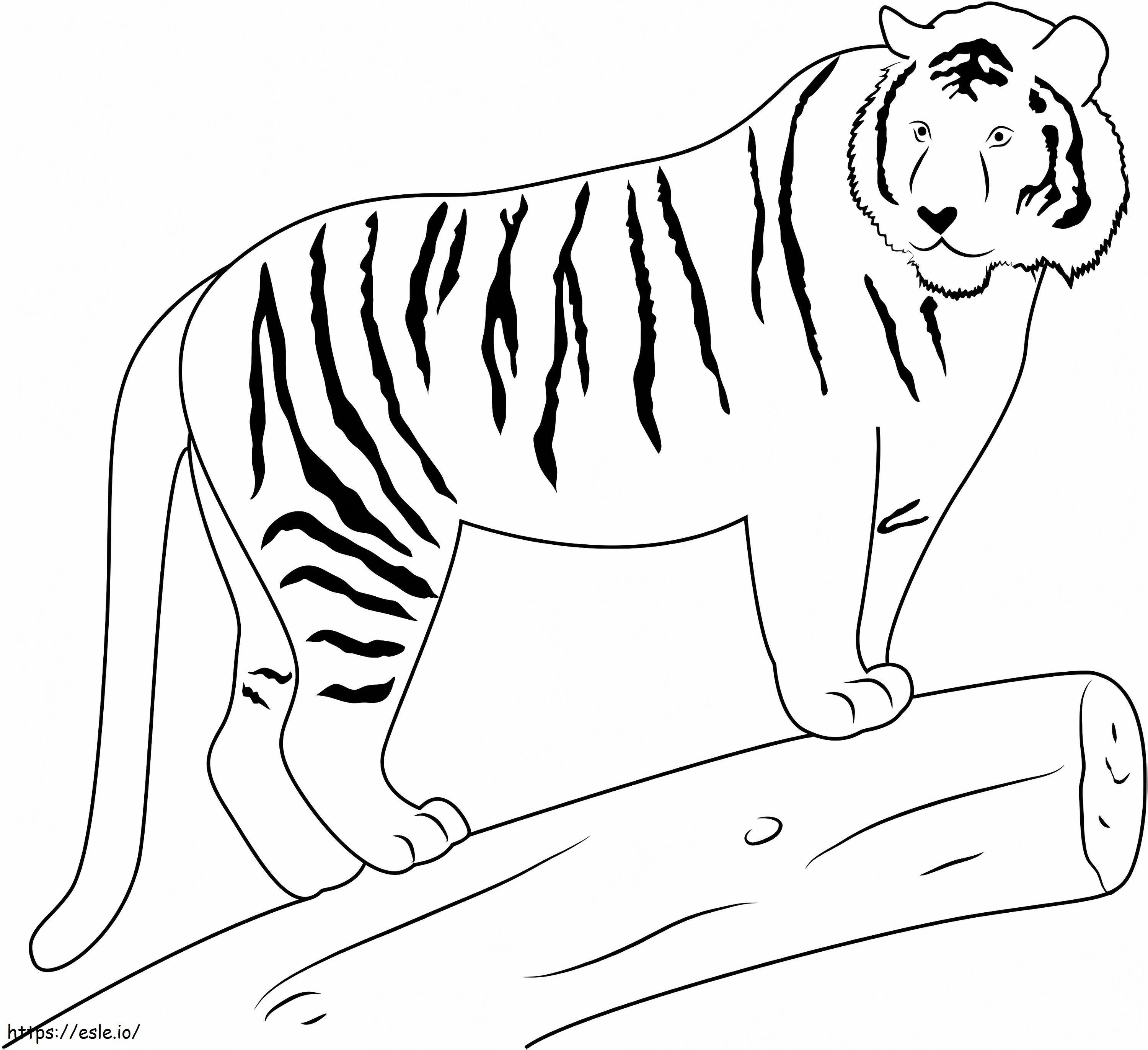 Tigre en rama para colorear