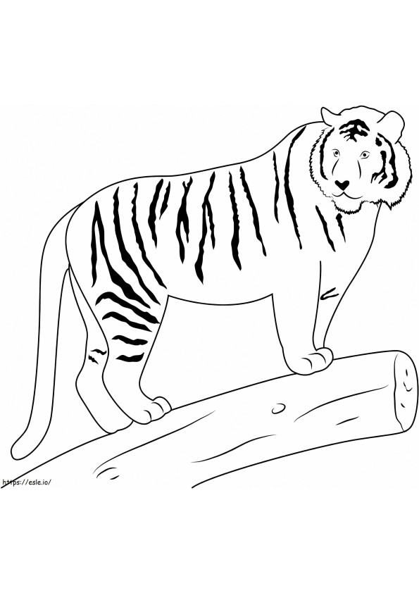Tigre en rama para colorear