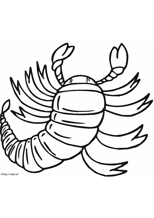 Coloriage Scorpion 9 à imprimer dessin