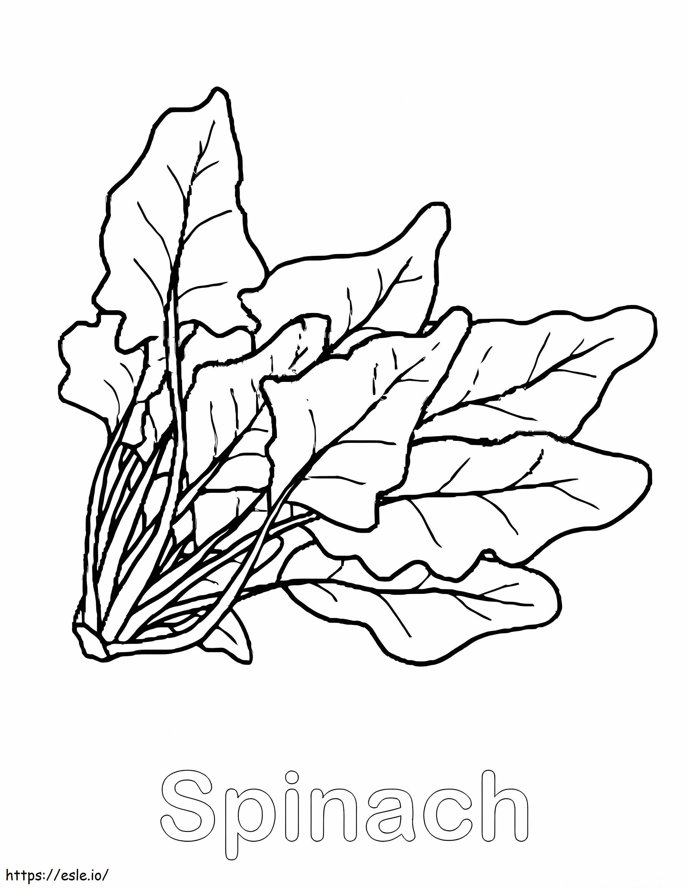 Spinach To Color coloring page